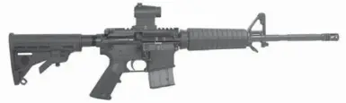  ??  ?? Available online: The Bushmaster XM-15 M4, above, will cost you $1,175, while the Daniel Defense M4 Carbine with the "Special Services Package," below, will set you back $2,395.