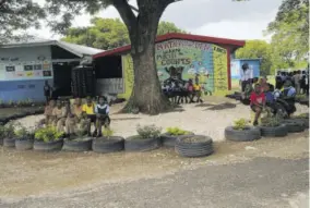  ??  ?? The Maths Garden at Toll Gate Primary.