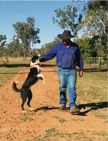  ?? PHOTOS: CONTRIBUTE­D ?? CHALLENGE DOG: Moura’s Simon Clarke and his cattle dog Ernie will take on the 2018 Cobber Challenge.