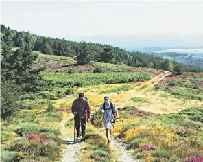  ??  ?? Take a walk in wild and lovely Lozère, where ‘You’ve more chance of catching foot-and-mouth than Covid-19’