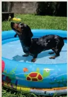  ??  ?? Las chineadas tienen hasta una piscina.