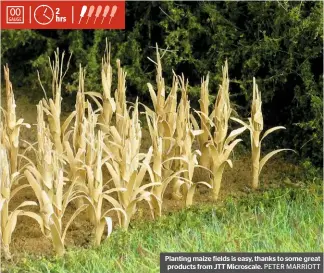  ?? PETER MARRIOTT ?? Planting maize fields is easy, thanks to some great products from JTT Microscale.