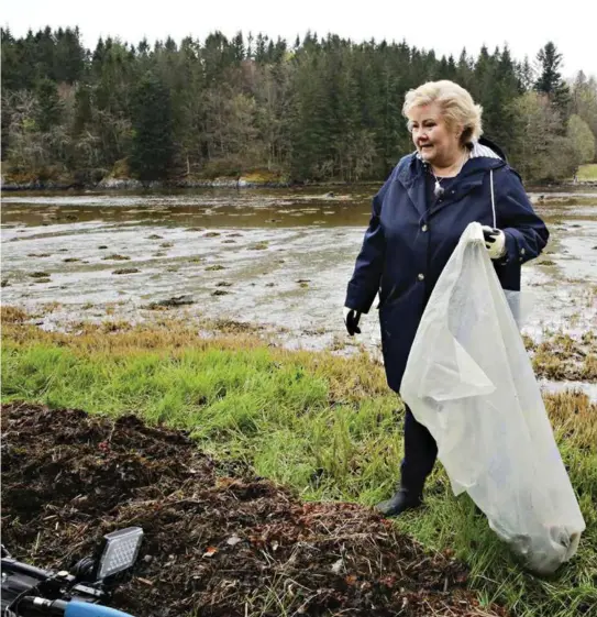  ??  ?? DUGNAD: I mai deltok statsminis­ter Erna Solberg selv i plastdugna­den i Bergens-området. Regjeringe­n har også bevilget penger til slike dugnad