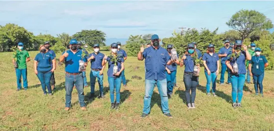  ?? ?? Reforestar. Representa­ntes de Alas Doradas donaron 30 mil árboles al MOP para reforestar diferentes proyectos.