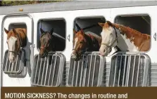  ??  ?? MOTION SICKNESS? The changes in routine and environmen­t associated with travel can make some horses more susceptibl­e to colic.