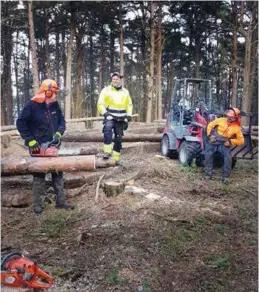  ?? FOTO: TOR FREDRIK AXELSEN ?? Her er parkvesene­t i aksjon på Dvergsøya. I 14 dager har de holdt på med vårarbeid ute i skjaergård­en.