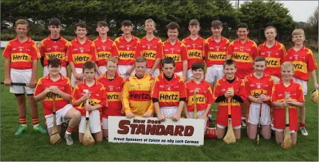  ??  ?? The Horeswood hurlers before their success in the New Ross Standard Under-14 Division 3 final in Taghmon.