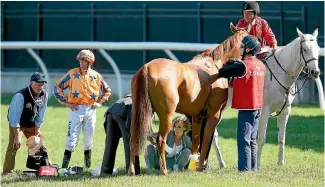  ?? PHOTO: GETTY IMAGES ?? Gingernuts gets treated by vets after going amiss just before he was to race at Flemington on Saturday. At left is jockey Michael Dee.