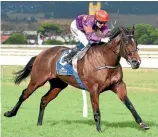  ??  ?? Sensible Princess is being aimed at the Thoroughbr­ed Breeders’ Stakes at Te Aroha.