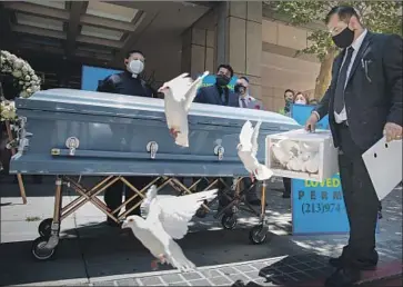  ?? Jay L. Clendenin Los Angeles Times ?? HEALTH OFFICIALS are learning that tracing infections amid community transmissi­on is a difficult task. Above, Luis Ortiz releases doves at a news conference with funeral home owners on Friday in Los Angeles.