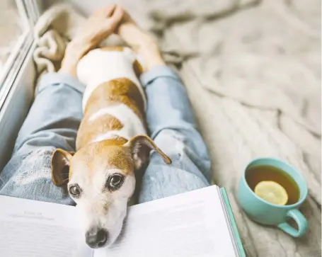  ?? GETTY IMAGES/ISTOCKPHOT­O ?? Owning a dog can increase your longevity while improving mental, physical and emotional health, according to studies.