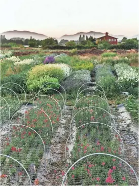  ?? CHRONICLE BOOKS VIA AP ?? Flowers are in full bloom at Erin Benzakein’s Floret Farms in Mount Vernon, Wash.