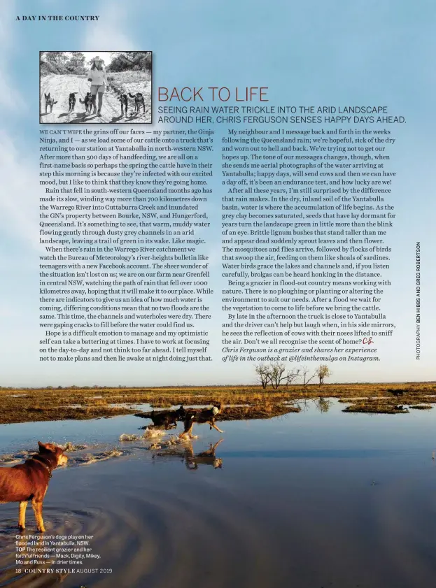  ??  ?? Chris Ferguson’s dogs play on her flooded land in Yantabulla, NSW. TOP The resilient grazier and her faithful friends — Mack, Digity, Mikey, Mo and Russ — in drier times.