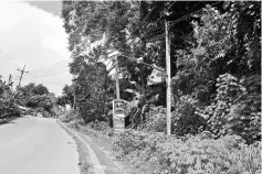  ??  ?? The big durian tree has become a worry to road users along Jalan Airport as it might fall and cause damage to passing vehicles and pedestrian­s, besides disrupting telecom services and power supply.