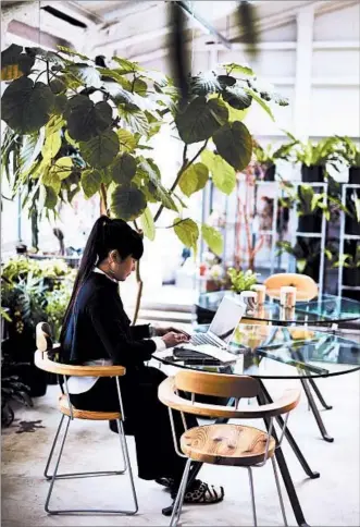  ?? PAUL BARBERA PHOTO ?? Plants, such as in artist Takahashi Kiroko’s Tokyo studio, “really change the feel of a space,” says Rachael Weiner, senior style and market editor at Real Simple magazine.