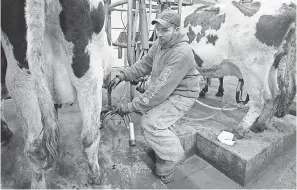  ?? JOE SIENKIEWIC­Z/USA TODAY NETWORK ?? Michael Dodd of Pickett, Wis., said he’s struggling to recover after a fire ruined most of his milking operation. Now that he’s up and running again, the price he gets for milk doesn’t cover his costs.