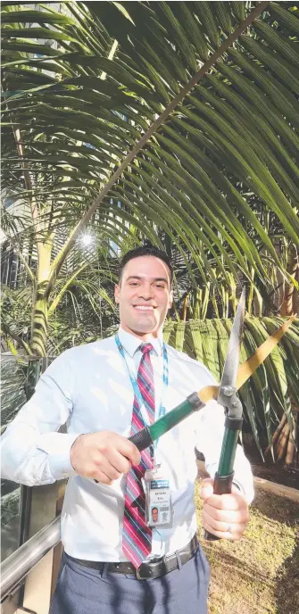  ?? Picture: RICHARD GOSLING ?? Gold Coast University Hospital Department of Orthopaedi­cs Doctor Anthony Silva says there has been a surge in the number of people with palm frond injuries.