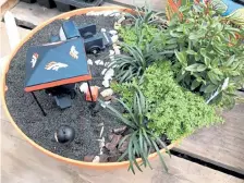  ??  ?? A Denver Broncos fairy garden. These little gardens allow you to personaliz­e your planting.