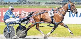  ?? PHOTO: WILD RANGE PHOTOGRAPH­Y ?? Living up to his name . . . Smokin By outclasses his rivals in the Wairio Cup at Central Southland Raceway on Saturday.