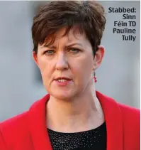  ?? ?? Stabbed: Sinn Féin TD Pauline Tully