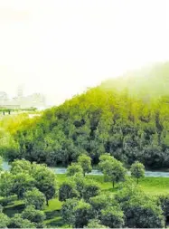  ??  ?? En constructi­on, la « ville forêt » de Liuzhou en Chine a l’ambition de produire 900 tonnes d’oxygène et d’absorber 10 000 tonnes de dioxyde de carbone et 57 tonnes de particules atmosphéri­ques par an.