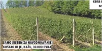  ??  ?? samo sistem za navodnjava­nje koštao ih je, kažu, 30.000 evra