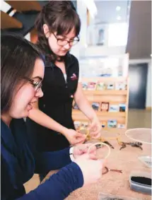  ??  ?? Atelier de création artisanale au Musée des Abénakis