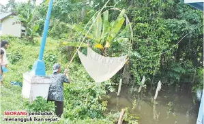  ??  ?? SEORANG penduduk menangguk ikan sepat.