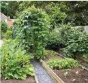  ??  ?? Raised beds make good vegetable plots as they don’t need digging