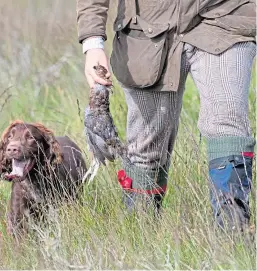  ?? Picture: PA. ?? Pro-grouse moor organisati­ons say the final report of a study centred on Langholm Moor is a watershed.