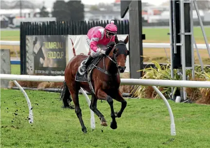  ?? TRISH DUNELL. ?? Jockey Samantha Collett hugged the rail from the pole position on Jochen Rindt, a winning Taumarunui Cup move. at Rotorua on Saturday.