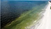  ?? Tribune News Service ?? ■ A red tide outbreak on Madeira Beach in Pinellas County, Fla., in April 2019. Research by the Loggerhead Marinelife Center shows a detox therapy used to treat overdoses in humans may help save endangered sea turtles from red tide poisoning.