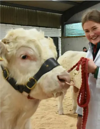  ??  ?? Top sellers: (above) Isabelle Quinn, of Edenderry, with one of the three bulls from the herd which sold for a total of €9,400 at the Charolais Show and Sale at Tullamore; (left) Wesley Kellett, of Fartadreen Bailieboro­ugh, Co Cavan with Weskel Orlando, Reserve Champion