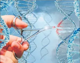  ?? ISTOCKPHOT­O ?? ■ Geneticist­s work in various fields