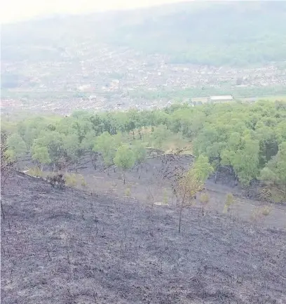  ??  ?? A series of shocking pictures and videos showing the ‘heartbreak­ing’ effects of grass fires on wildlife and hillsides in the Valleys have been posted online
