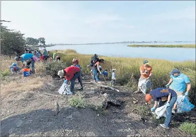  ?? DAN HONDA — STAFF ARCHIVES ?? Volunteers take part in the annual Coastal Cleanup at the Martin Luther KingJr. Shoreline in Oakland in 2017.