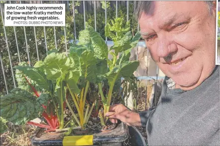  ??  ?? John Cook highly recommends the low-water Kratky method of growing fresh vegetables.
PHOTOS: DUBBO PHOTO NEWS