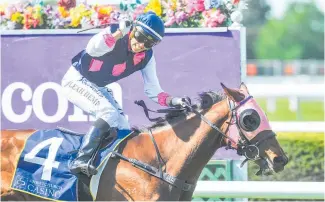  ?? Photo / Race Images ?? Leah Hemi celebrates winning the New Zealand Cup at Riccarton in November on Dee And Gee.