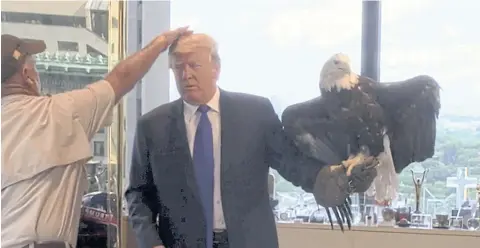  ?? REUTERS ?? US Republican presidenti­al candidate Donald Trump gets his hair straighten­ed as he tries to hold a bald eagle during a ‘Time’ magazine photo shoot on Thursday.