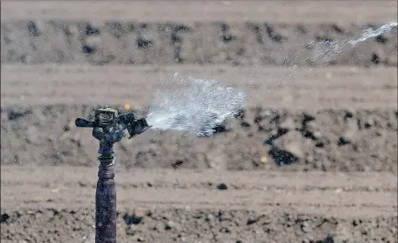  ??  ?? ONE OF SEVERAL HUNDRED sprinklers sprays water on a vegetable field in the Gila Valley late Friday afternoon.