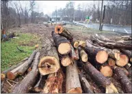  ?? Tyler Sizemore / Hearst Connecticu­t Media ?? Trees are piled up in an area of land that has been clear cut at the intersecti­on of High Ridge Road and Wire Mill Road in Stamford on Thursday.