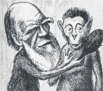  ?? ?? Charles Darwin depicted as an ape in a satirical image from the London Sketch Book, 1860