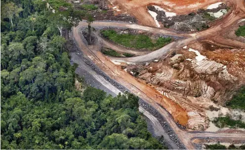  ?? Foto: dpa/Marizilda Cruppe/Greenpeace Image ??