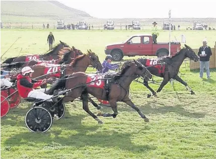  ??  ?? > Novice final winner Hurricane Howard, owned by Duggan of Llangunllo and driven by Rebecca Williams, from Ludlow