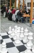  ?? Foto: Heinz Neumaier ?? Aichach gegen Schifferst­adt: Schach spiel unter dem Eichenhain am Tandlmarkt.