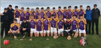  ??  ?? The successful Wexford C.B.S. squad.