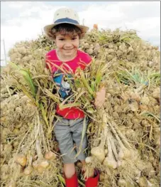  ??  ?? Hugo 6 ans, prêche les bienfaits de l’ail et conseille de le déguster le soir en accompagne­ment d’une salade.