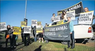  ?? Picture: LINAMANAND­LA NQADALA ?? STRONG STAND: Activists protest against the export of live animals at the Abbottsfor­d N2 off-ramp yesterday. About 3 000 cattle and sheep were being loaded on to a vessel at East London port