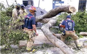  ?? EFE ?? Árbol caído. Los bomberos de Miami tratan de quitar un árbol caído de la avenida Brickell, tras el huracán Irma, en Miami, Florida, ayer.