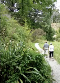  ??  ?? Above left: The track walking towards Keith Sands Grove. Above Right: A couple on the Tainui Heritage Walk. Below right: The steps from Keith Sands Grove.